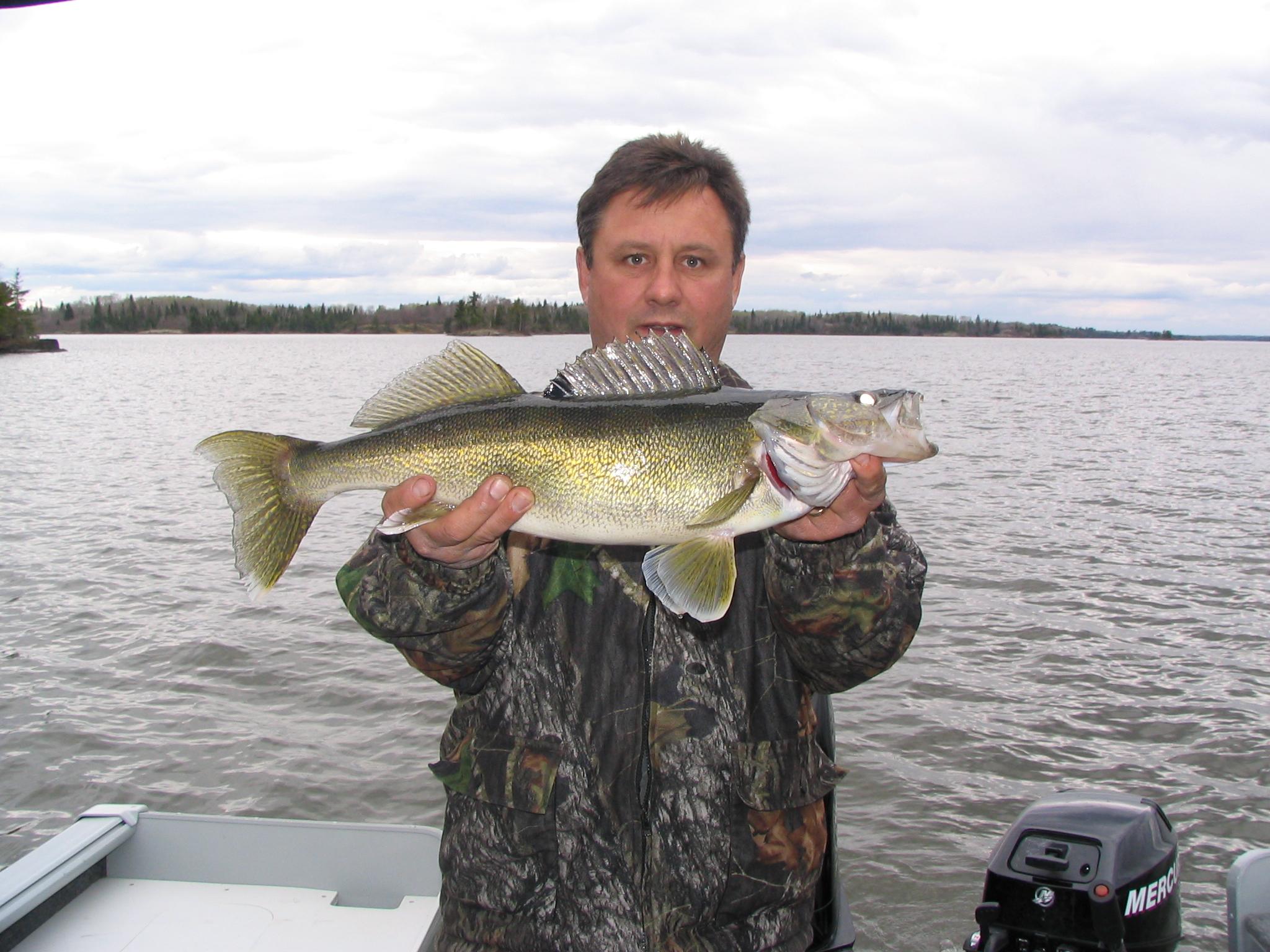 walleye-1